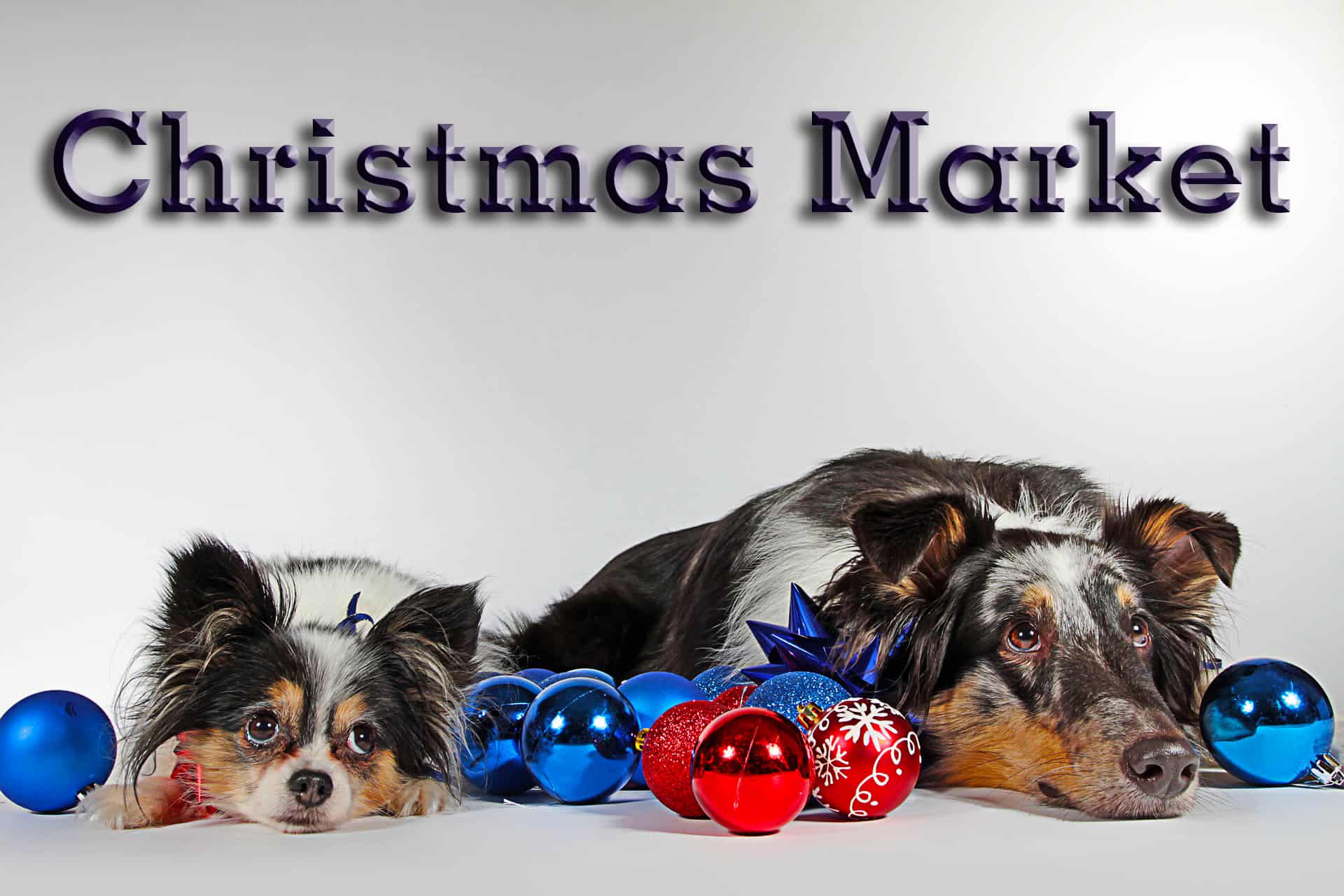 Chilled Dawgz Dog Day Care Glasgow Christmas Market